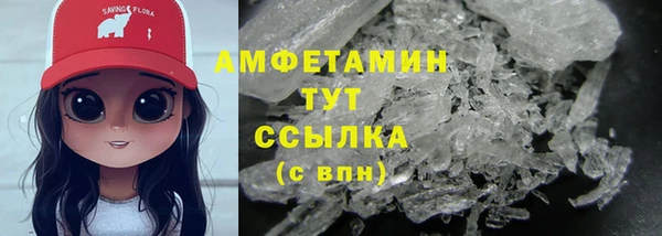 индика Беломорск