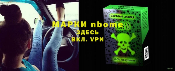 индика Беломорск