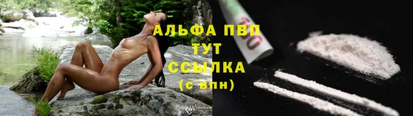 spice Белокуриха