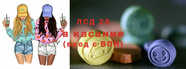 индика Беломорск