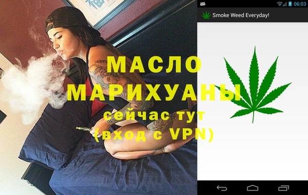 индика Беломорск