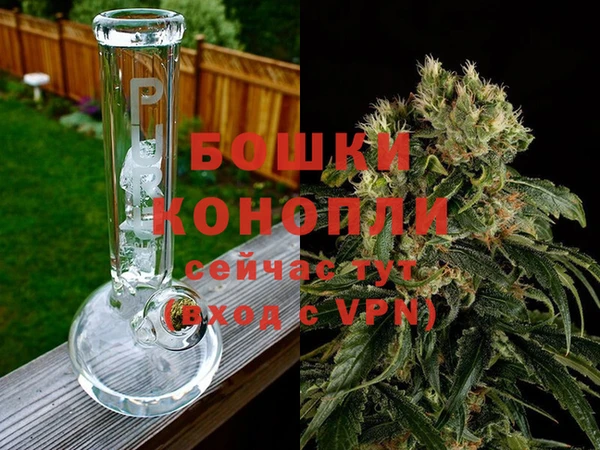 индика Беломорск