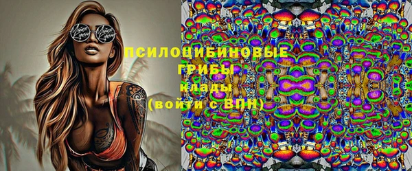 spice Белокуриха