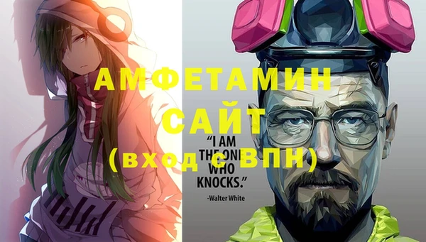 индика Беломорск