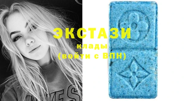 индика Беломорск