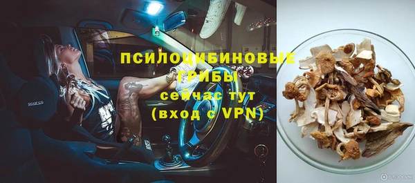 spice Белокуриха