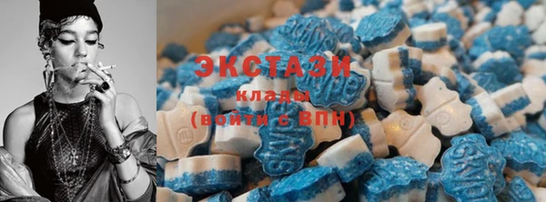 индика Беломорск