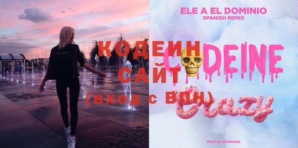 индика Беломорск