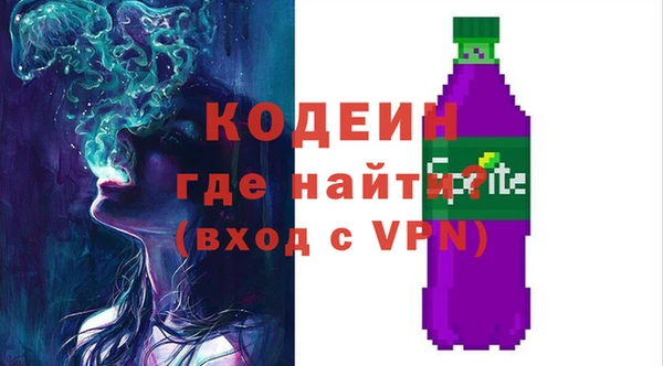 индика Беломорск