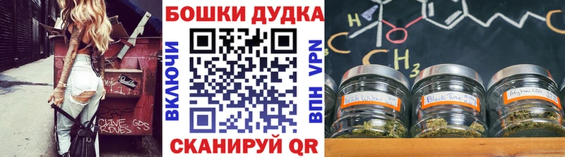 Конопля ГИДРОПОН Купить где Джанкой